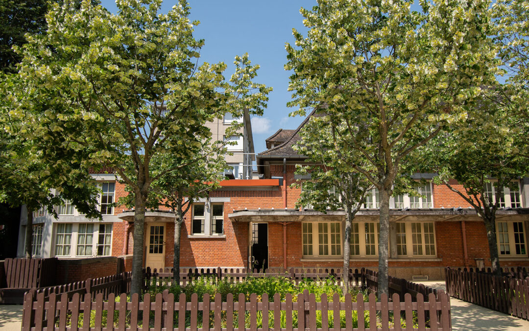 École WilsonSuresnes (92)
